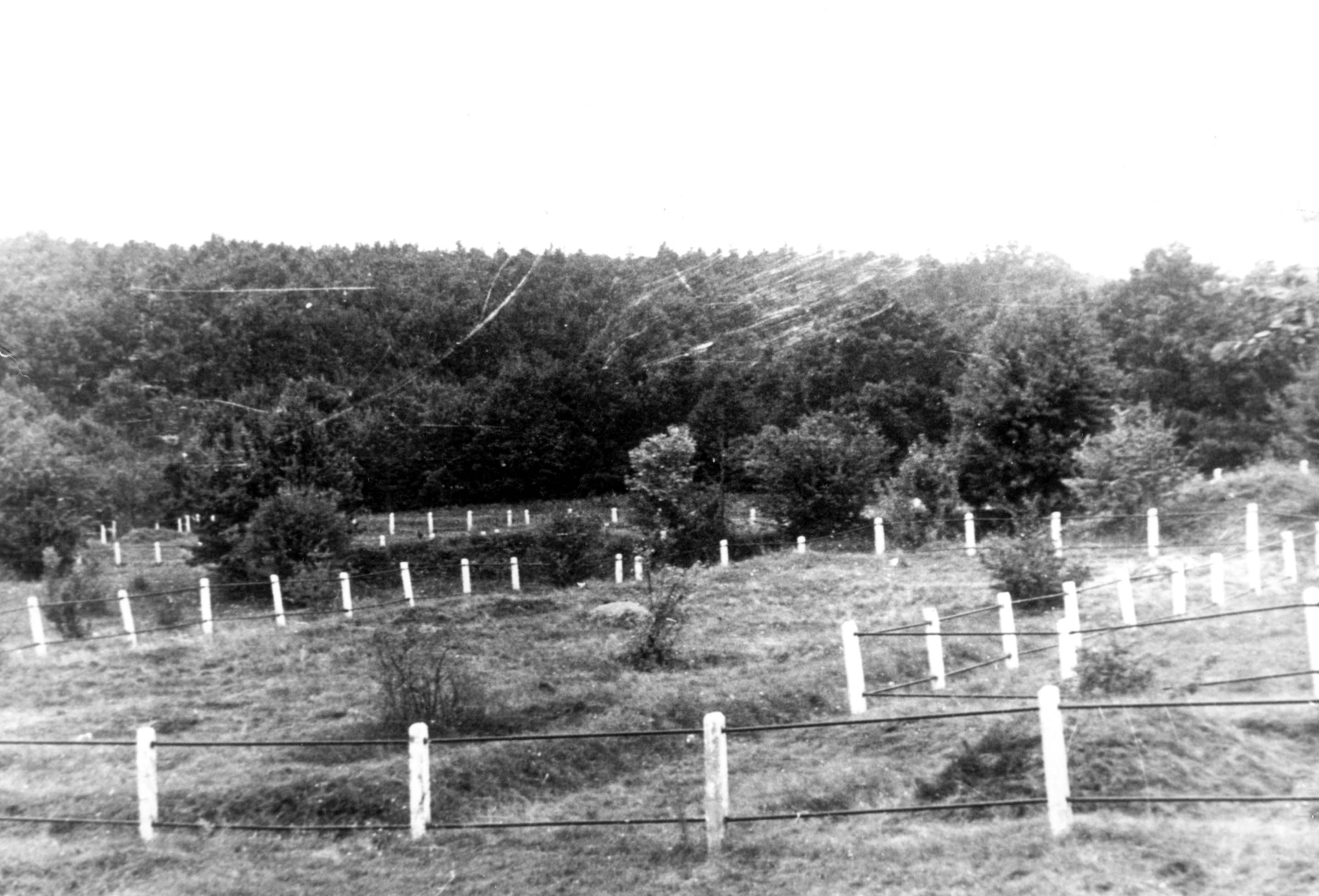 Mass graves near the former Pechora camp